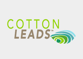 Cotton Leads